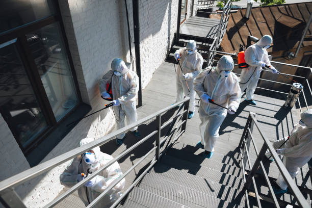 Forensic Mold Investigation in Snowflake, AZ